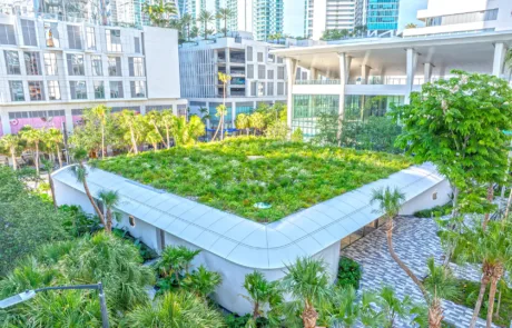Apple Store with green roof at Miami Worldcenter